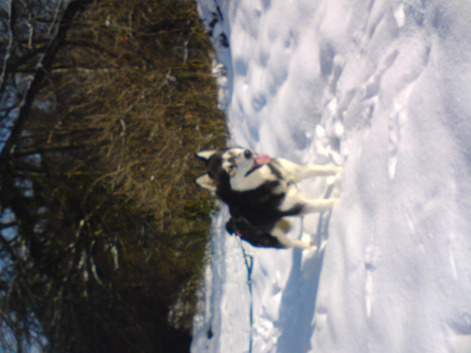 DSC00035.jpg