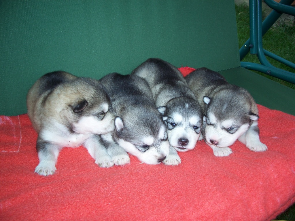 100_8176.JPG