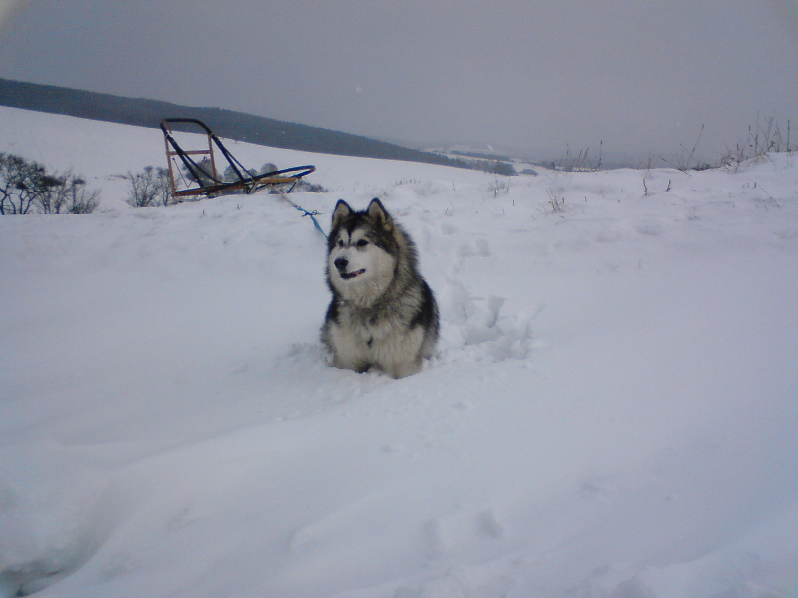 DSC00748.jpg